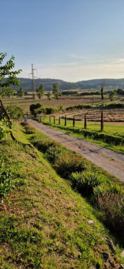 רפולאנו טרמה Podere La Selva מראה חיצוני תמונה